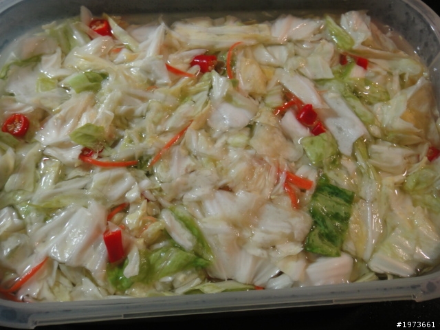 自製泡菜(七年醃製經驗心得)
