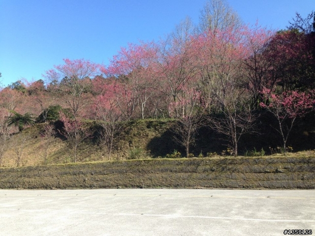 2014-01-25 首征宜蘭太平山之騎