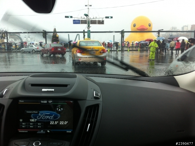 ford kuga 24小時試駕 基隆小鴨一日遊