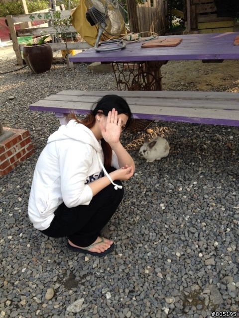 屏東縣內埔鄉蕭家大院兔子餐廳