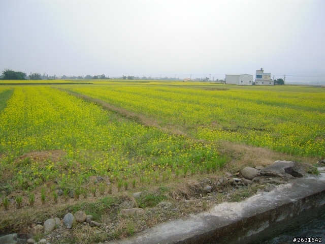 我的Kuga初體驗，花東24小時內試駕任意行