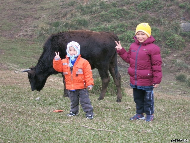 Kuga24小時試駕-陽明山之旅