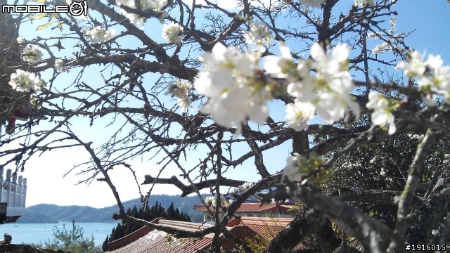 遲來的Ford KUGA 24小時免費試乘活動體驗