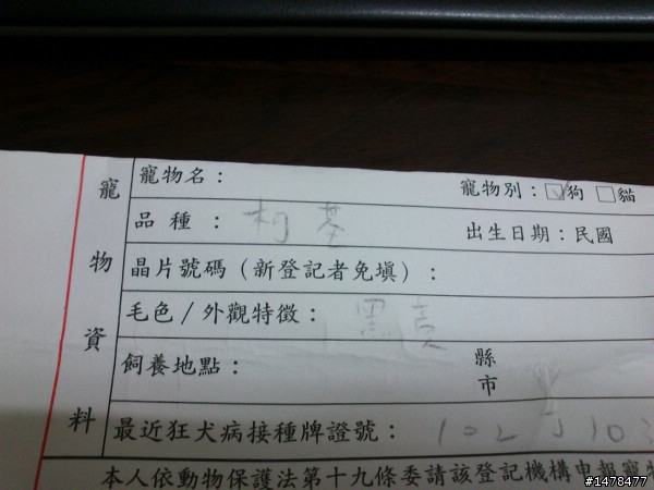 柯基來我家滿一年囉(請多認養公立收容所的狗兒阿
