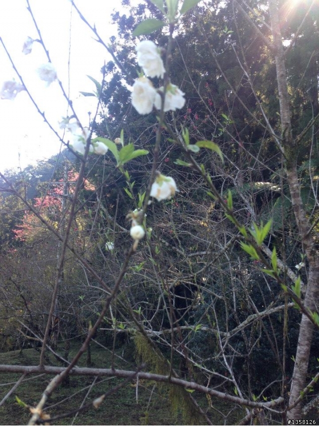 2014-01-25 首征宜蘭太平山之騎