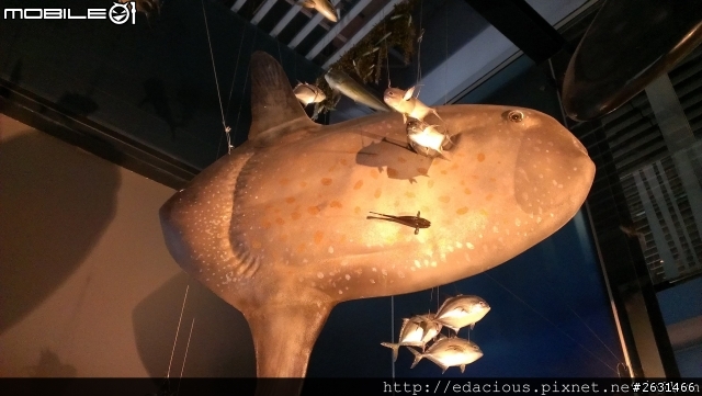 美食狗汪汪【基隆-遊記】期待已久的海洋科技博物館