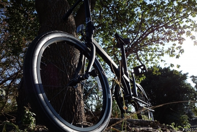 Dahon Speed Uno Shadow 開箱