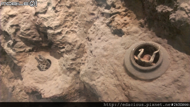 美食狗汪汪【基隆-遊記】期待已久的海洋科技博物館