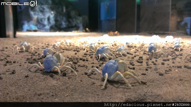 美食狗汪汪【基隆-遊記】期待已久的海洋科技博物館