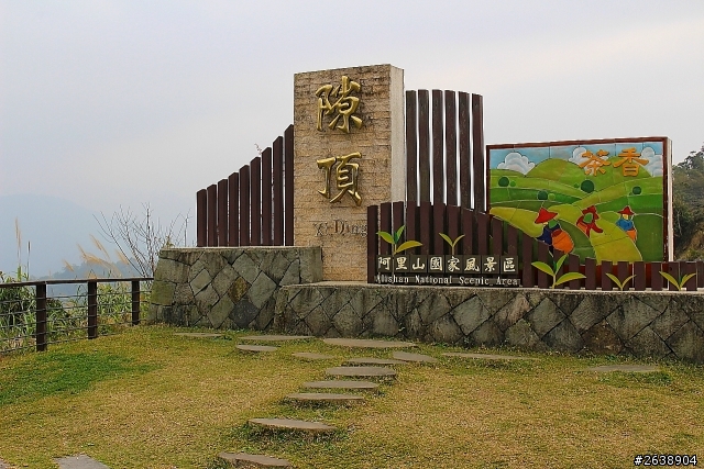 Ford KUGA 24小時免費試乘活動【阿里山一日遊】