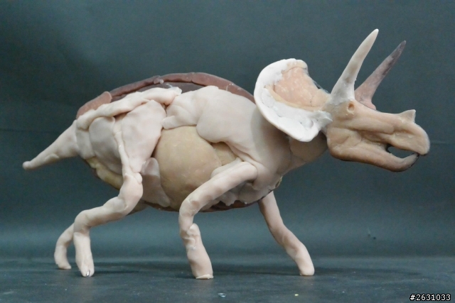 仿真動物原型製作～1/20 三角龍