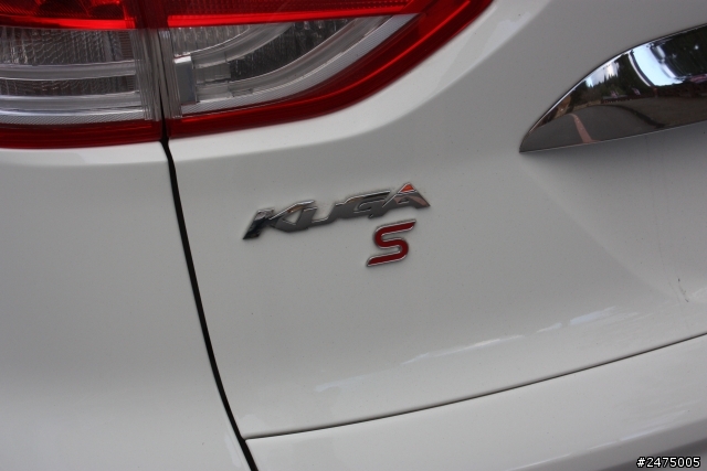 kuga 24小時免費開回家 #阿里山#新中橫#中橫#武嶺#逢假夜市#清水休息站#超速#吃紅單#走馬瀨農場