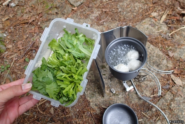請推薦林道用登山背包