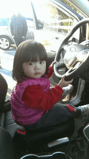 KUGA 試駕活動 石門水庫