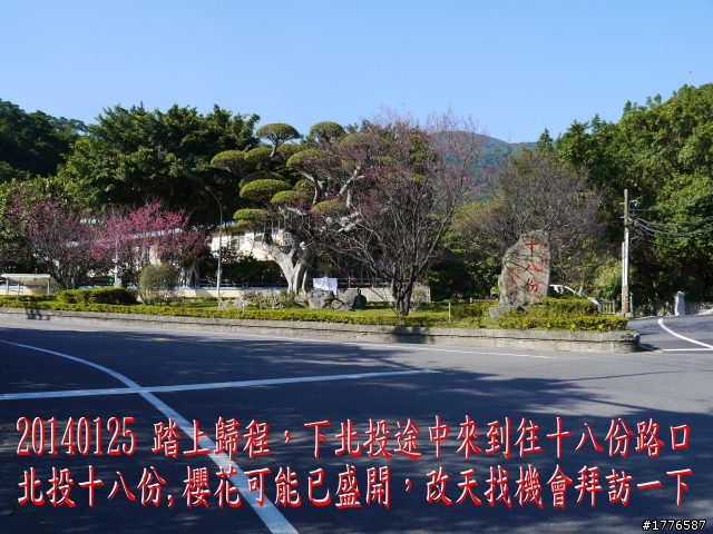 20140125  平菁街42巷陽明山賞櫻之旅