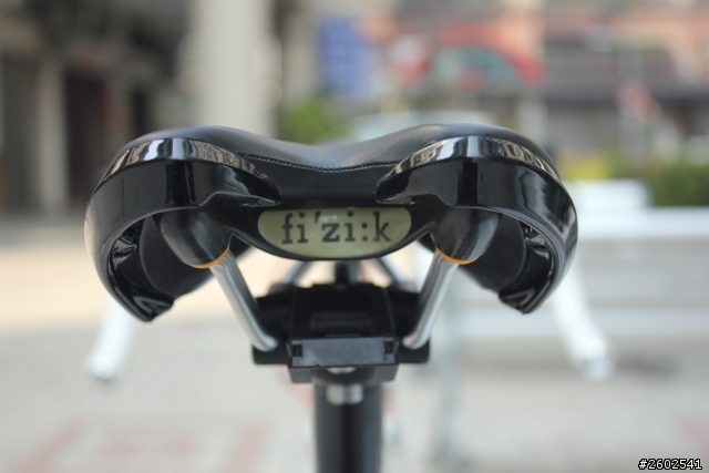 [開箱]2013 CANNONDALE CAAD 10 白/黑塗裝