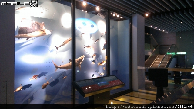 美食狗汪汪【基隆-遊記】期待已久的海洋科技博物館