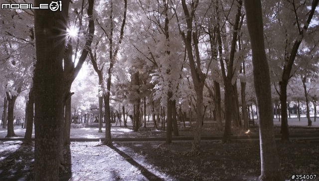 蓋一棟NIKON 星芒大樓吧