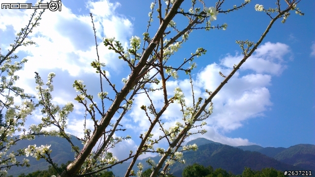 西進西出之冒險南橫...