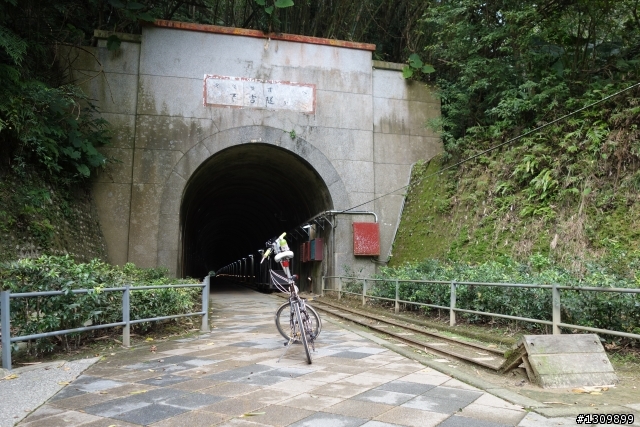 2014年首發團，Masi欣騎天之石門水庫好楓景，