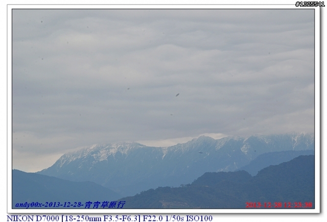 青青草原綿羊秀