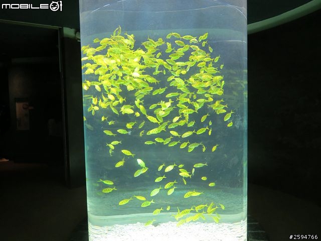 卒業．旅行．環島 - 感謝用行動 為默默付出的白衣天使加油 第六天