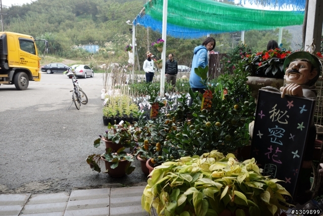 2014年首發團，Masi欣騎天之石門水庫好楓景，