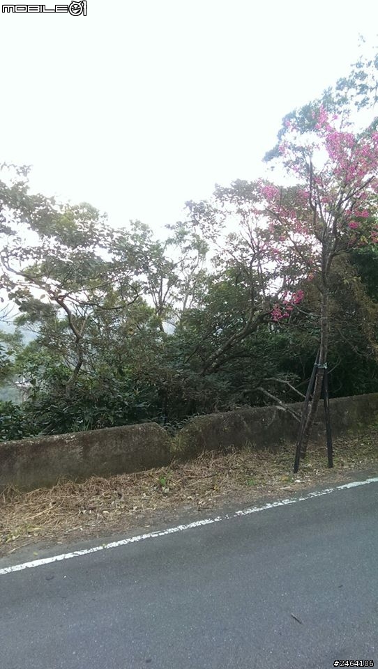 new one相機 嚴重請益