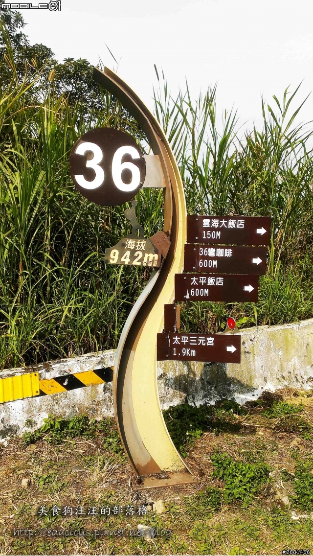 美食狗汪汪【嘉義-遊記】雪巔上的咖啡香 嘉義梅山公園