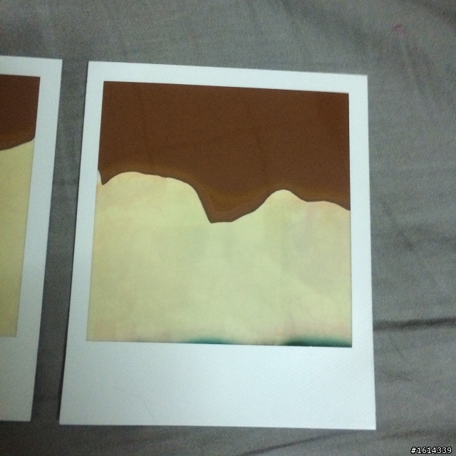 求解!!!! 關於寶麗來SX70 底片顯影的問題