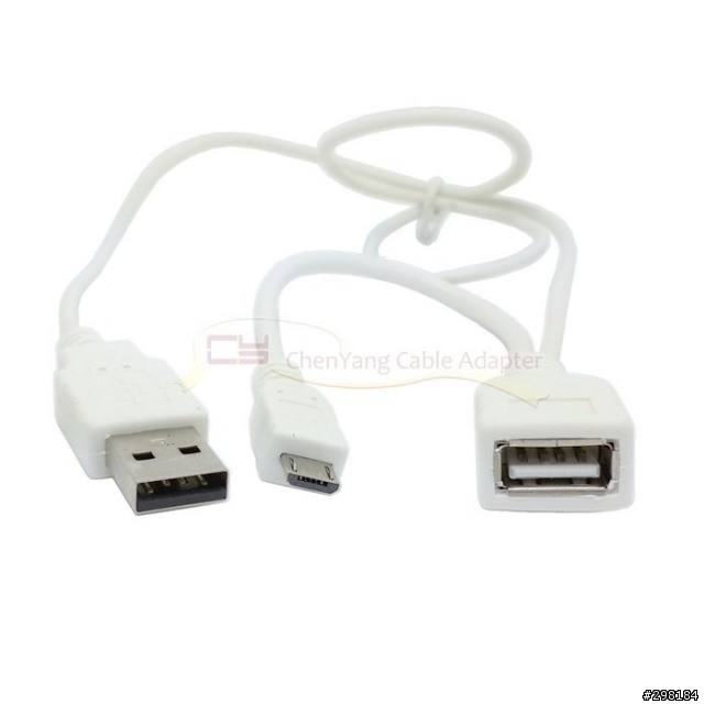 Asus T100 OTG線?