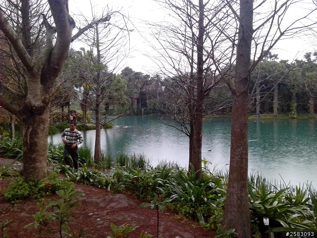 請問!花蓮雲山水能露營嗎?