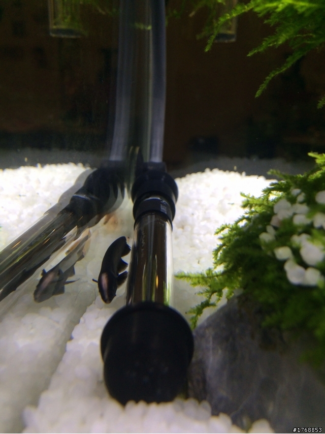 把想養的魚都裝進來了