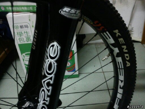RST SPACE JUMP 前叉..........怪怪0.0
