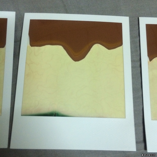 求解!!!! 關於寶麗來SX70 底片顯影的問題