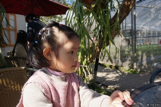 ORIX IWS 傻傻分不清楚 之 KUGA 24HR體驗 - 內湖草莓旅