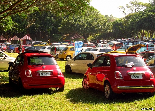 FFC Day 2013 之 Fiat500車聚
