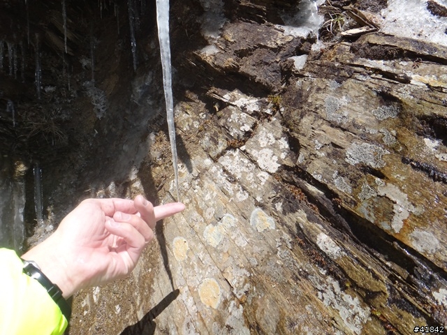 2014-02-21 武嶺單車瘋雪行