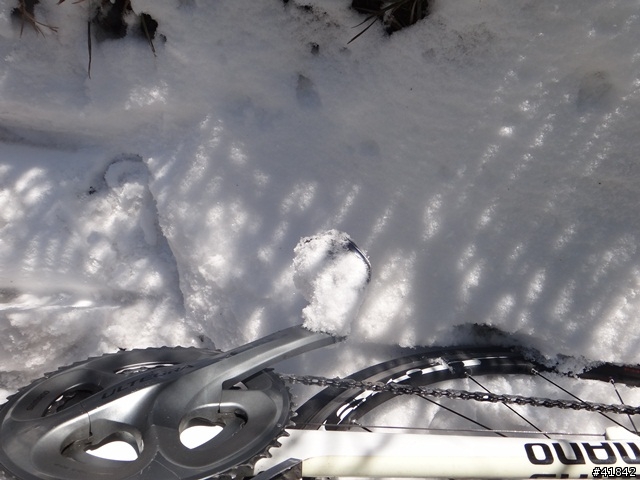 2014-02-21 武嶺單車瘋雪行