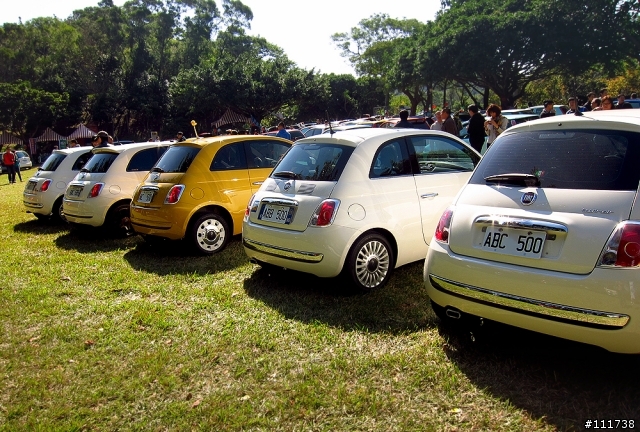 FFC Day 2013 之 Fiat500車聚