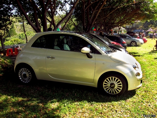 FFC Day 2013 之 Fiat500車聚