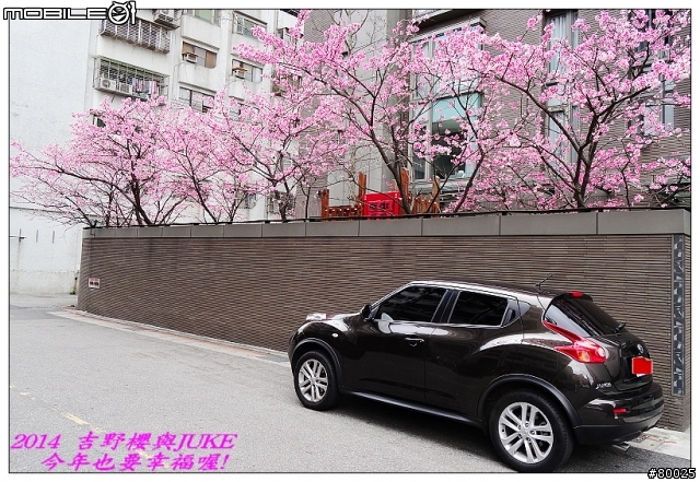 JUKE 1.6T 棕於來襲