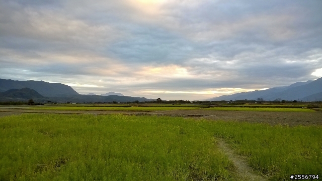Lumia 820看出的世界