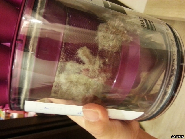Dyson dc48入手！超威猛…但有個小小的疑問…請各位大大幫解！