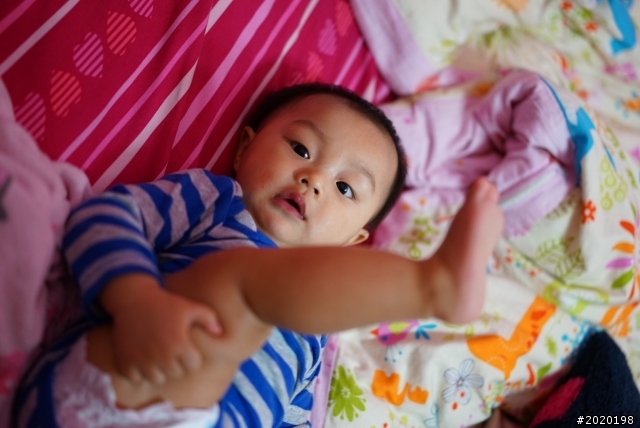 終於忍不住了！A7+55mmf1.8即時開箱亂拍！