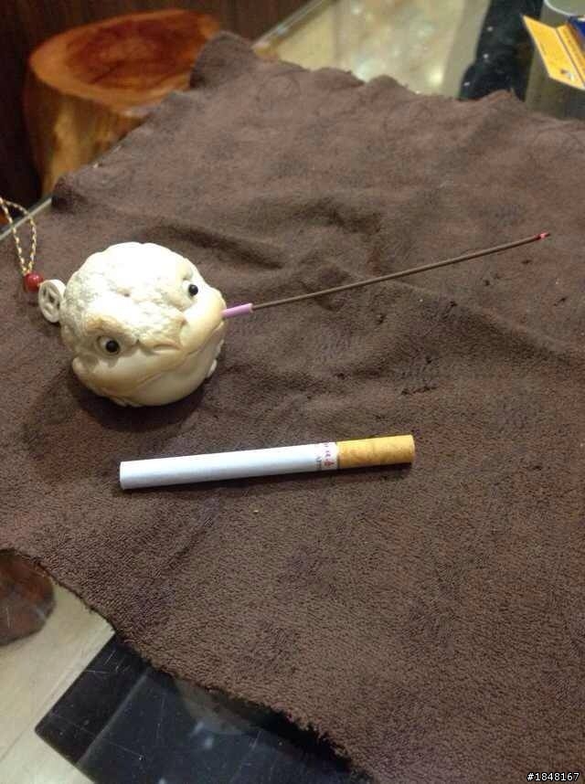 分享 很可愛的象牙金蟾