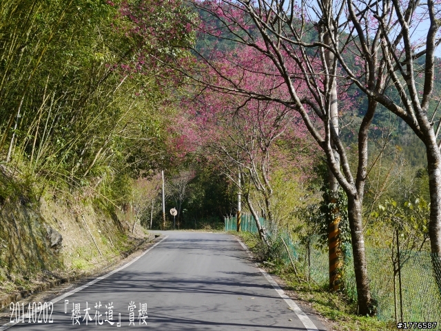 20140202  烏來福山賞櫻之旅