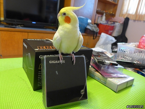 [簡單開箱] 敗入與我家玄鳳粉圓一樣大小的微型電腦－技嘉Brix I3 HasWell 準系統