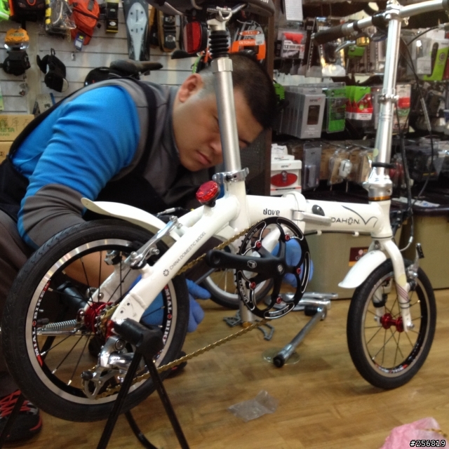 看我把Dahon Dove-Bya 412 單速14吋折疊車改米洛Mailo 外三變速輪組