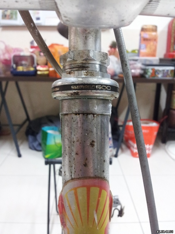 入手全車好料鋼管車一台(半套Shimono 600),但是搞的快吐血了